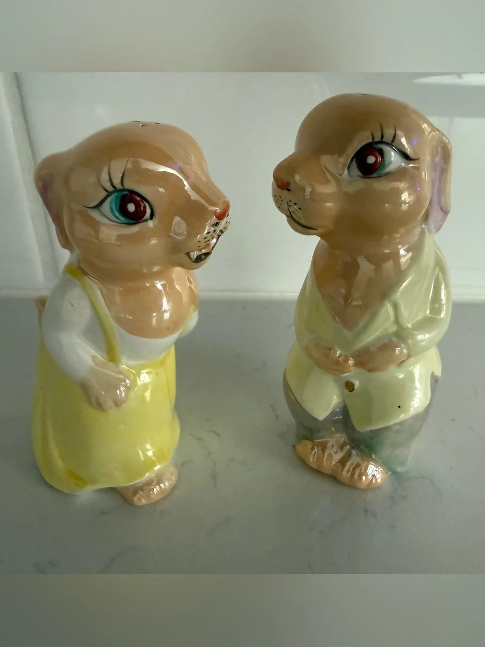 Ceramic Bunny Salt and Pepper Shaker Set